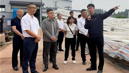 興業(yè)集團(tuán)黨委開展“黨建引領(lǐng)聚合力 攻堅克難顯擔(dān)當(dāng)”主題黨日暨現(xiàn)場教學(xué)活動