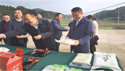 市委常委、政法委書記劉波濤帶隊調(diào)研指導定點幫扶村鄉(xiāng)村振興工作